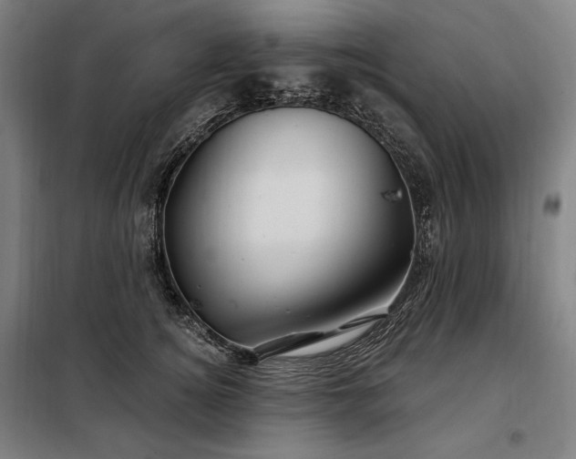 X0000097990756200804021008