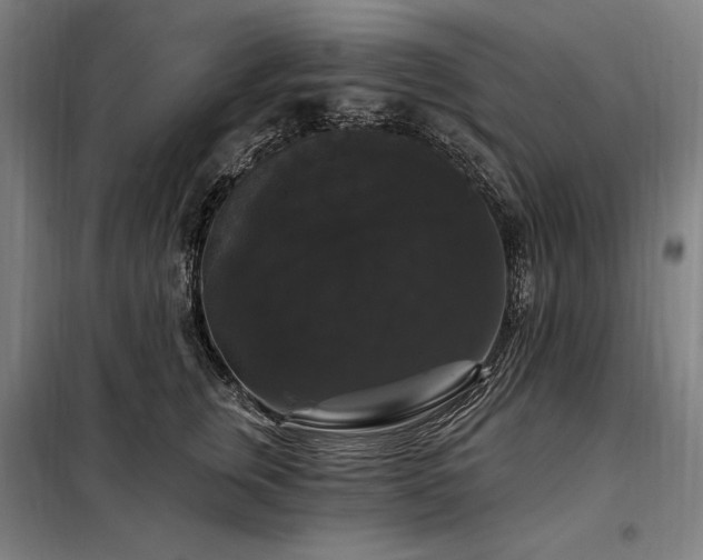 X0000097990759200804021008