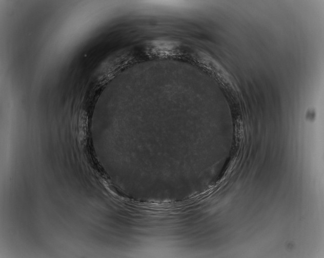 X0000097990760200804021008