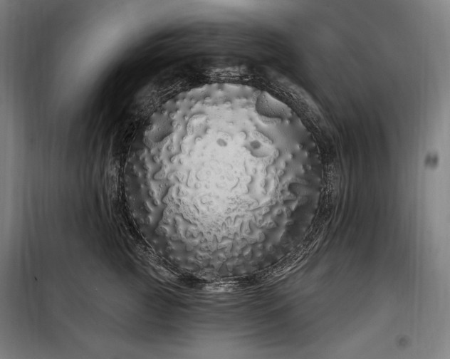 X0000097990761200804021008
