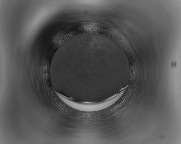 X0000097990762200804021008