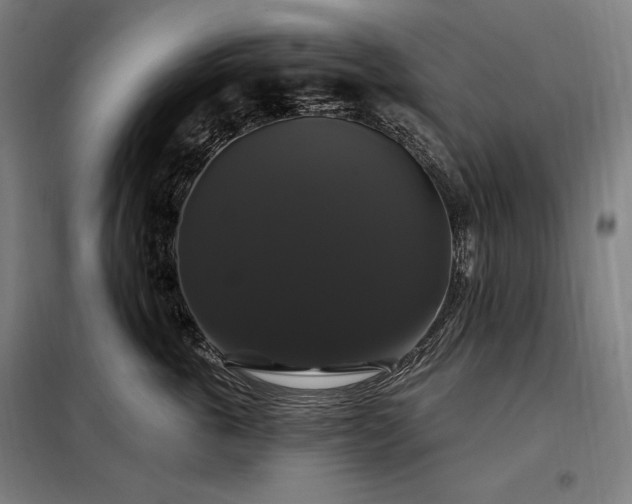 X0000097990763200804021008