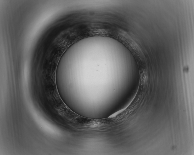X0000097990764200804021008