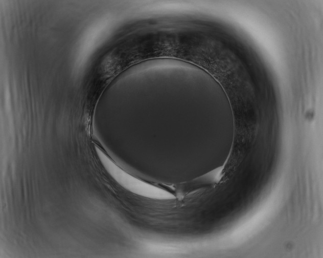 X0000097990766200804021008