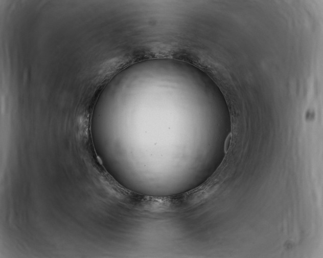 X0000097990768200804021008