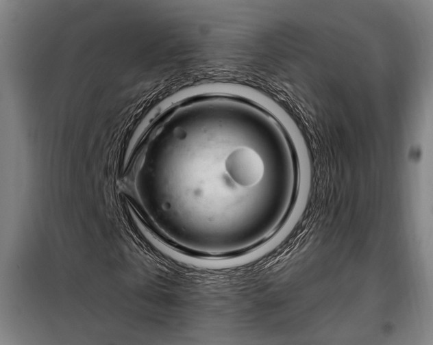 X0000097990769200804021008