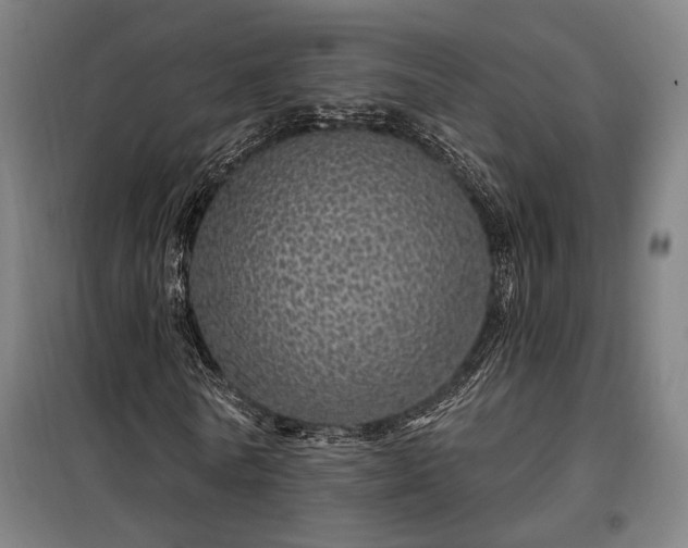 X0000097990770200804021008