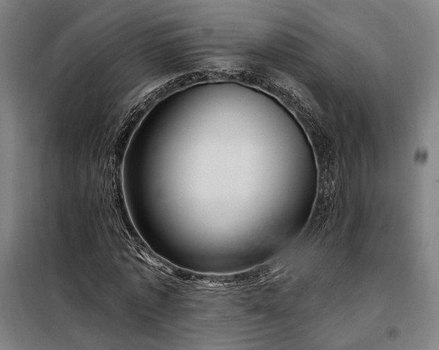 X0000097990773200804021007
