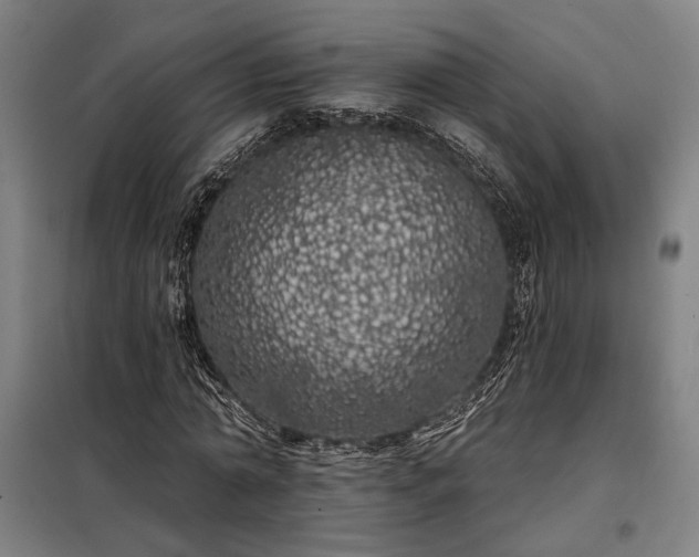 X0000097990774200804021007