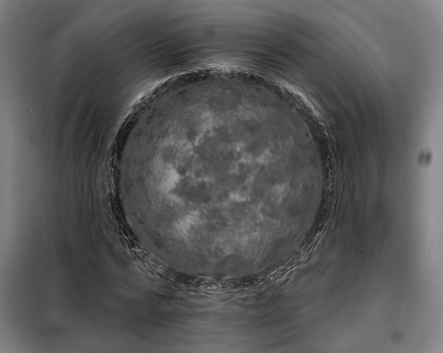 X0000097990776200804021007