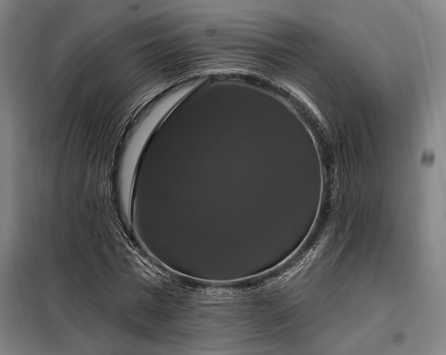 X0000097990777200804021007