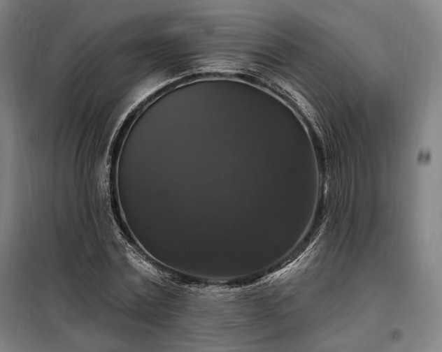 X0000097990779200804021007