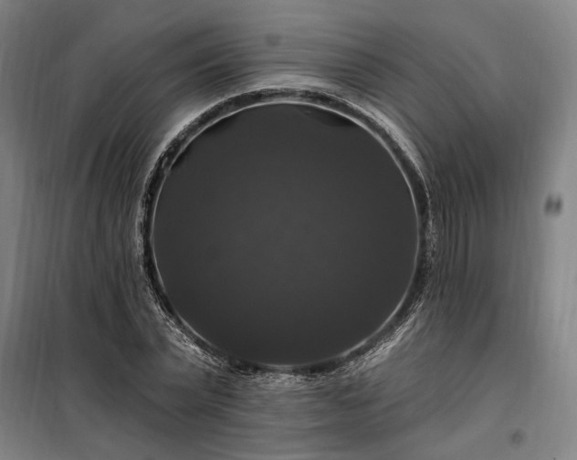 X0000097990783200804021007