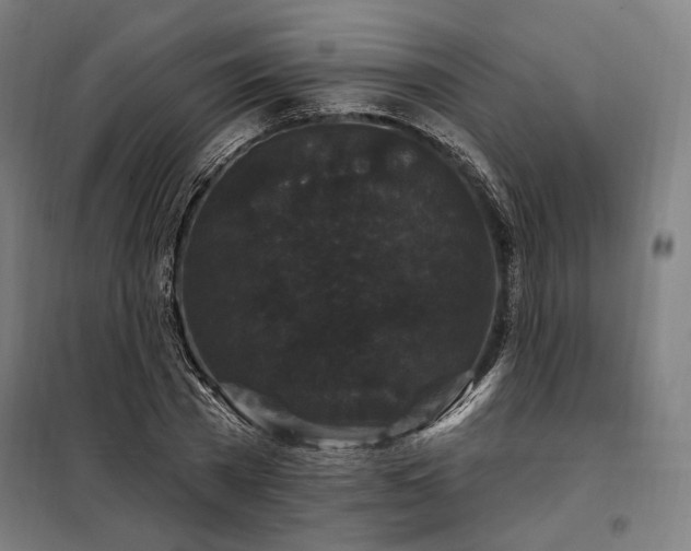 X0000097990785200804021007