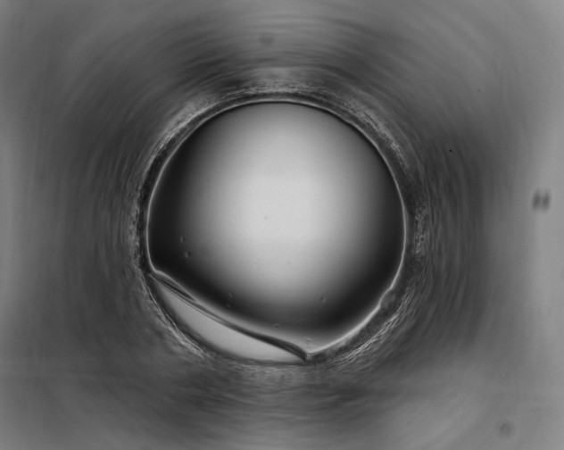 X0000097990786200804021007