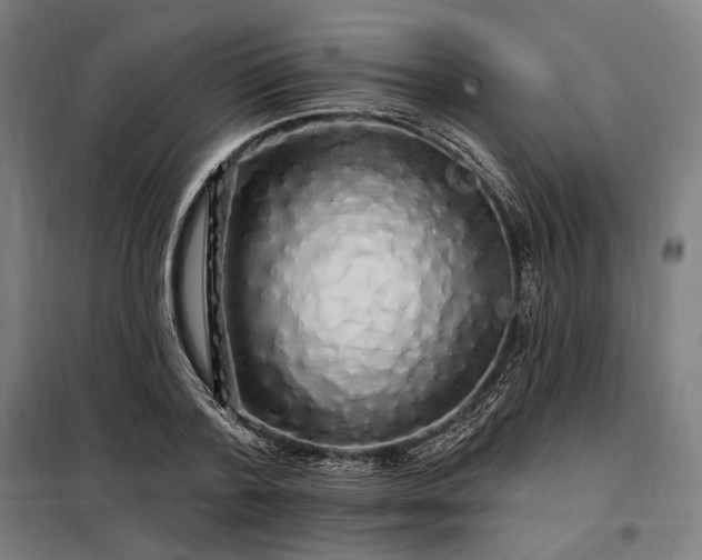 X0000097990788200804021007