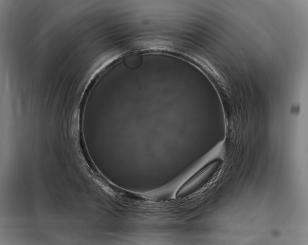 X0000097990790200804021007