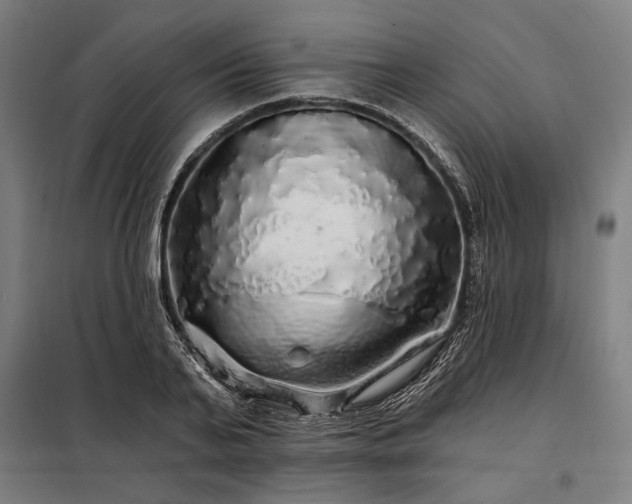 X0000097990791200804021007
