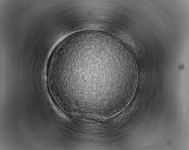 X0000097990792200804021007