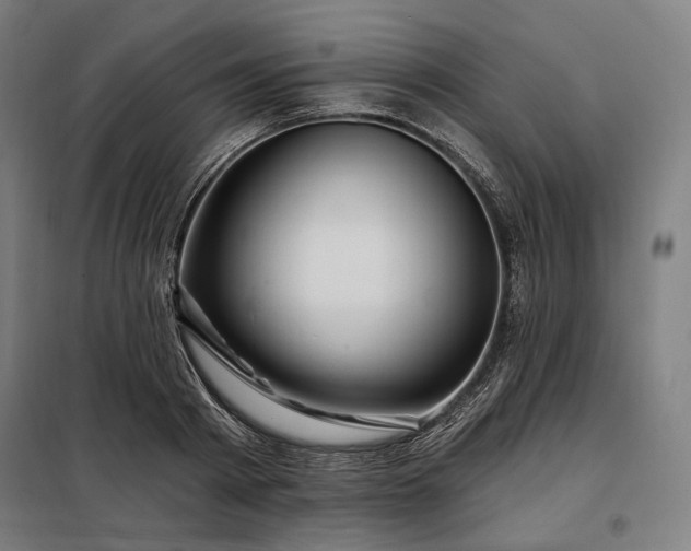 X0000097990793200804021007