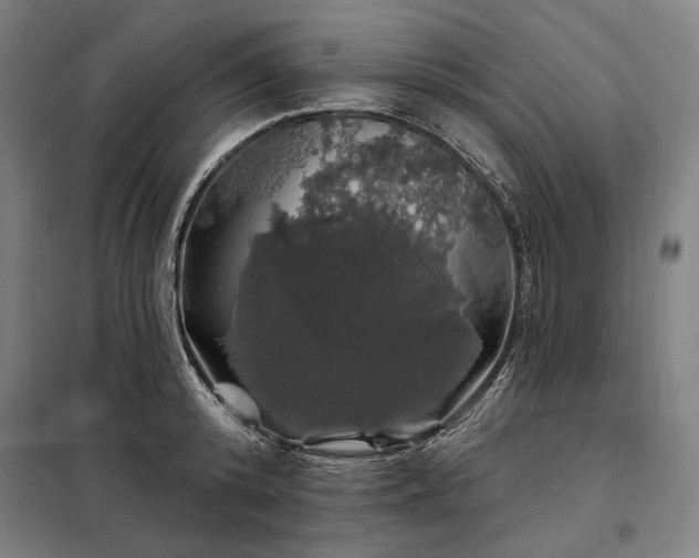 X0000097990800200804021007