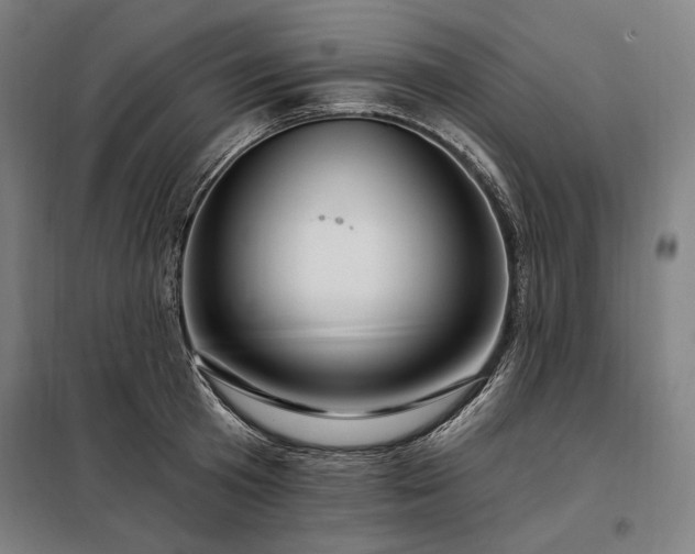 X0000097990801200804021007
