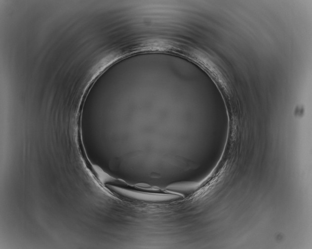 X0000097990802200804021007