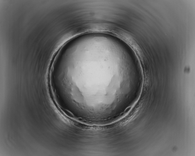 X0000097990803200804021007