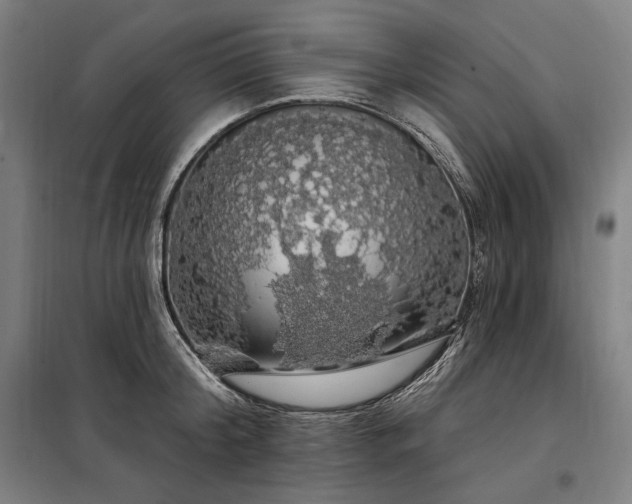 X0000097990804200804021007