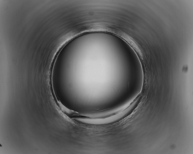 X0000097990805200804021007