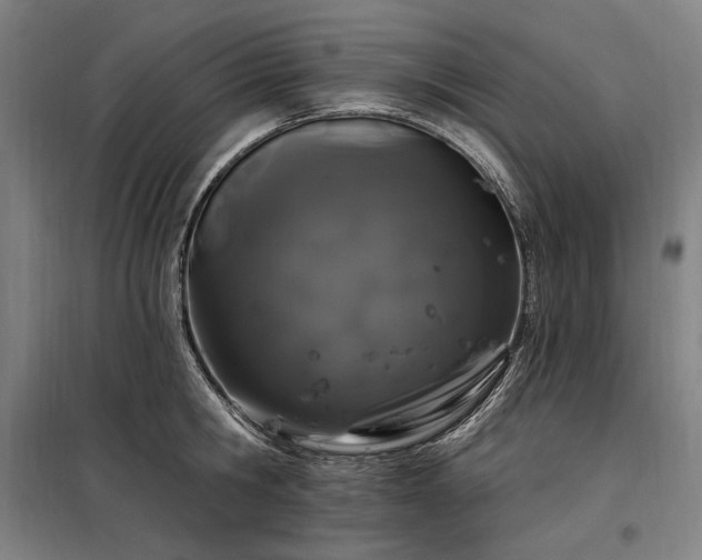 X0000097990806200804021007