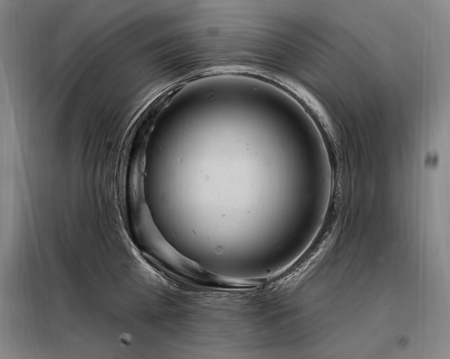 X0000097990809200804021007