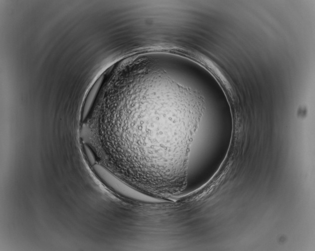 X0000097990810200804021007