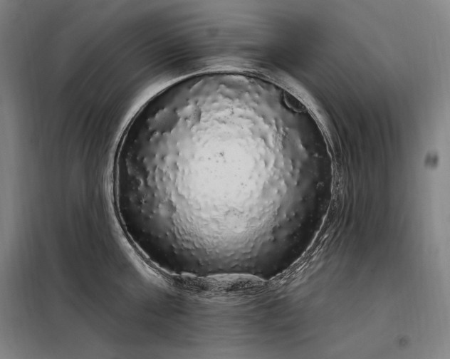 X0000097990811200804021007