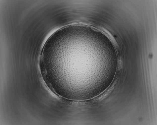 X0000097990812200804021007