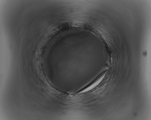 X0000097990817200804021006