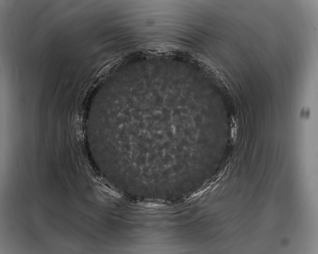X0000097990819200804021006