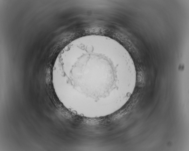 X0000097990820200804021006