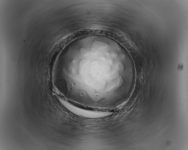 X0000097990821200804021006
