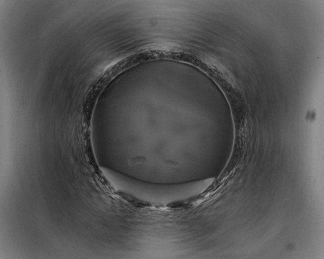 X0000097990822200804021006