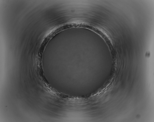 X0000097990823200804021006