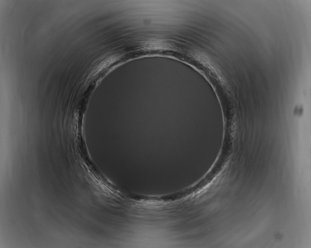 X0000097990825200804021006