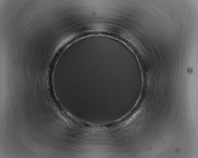 X0000097990826200804021006