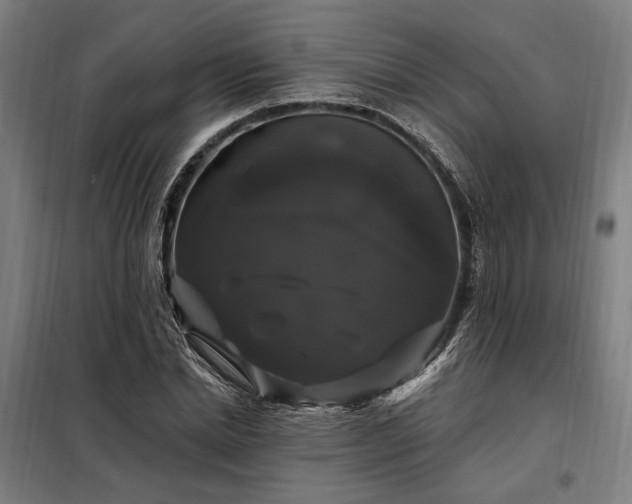 X0000097990830200804021006