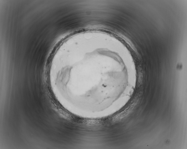X0000097990832200804021006