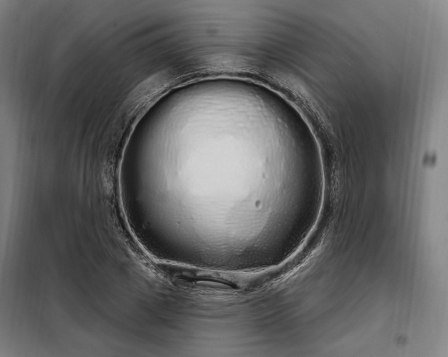 X0000097990833200804021006