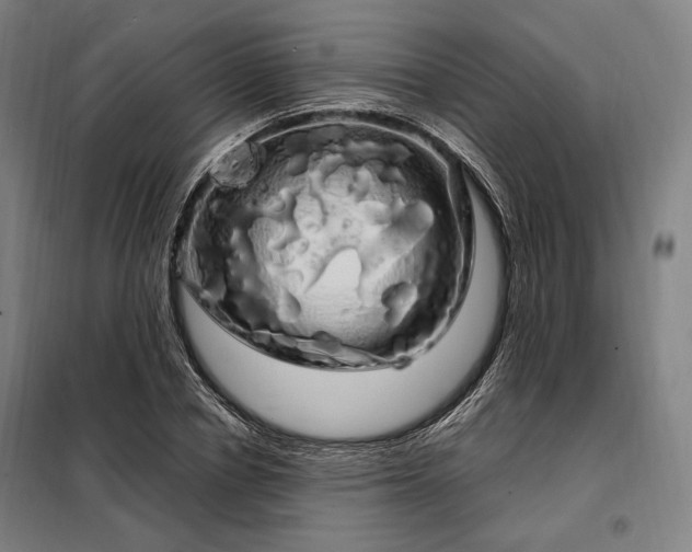 X0000097990834200804021006