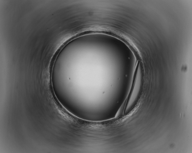 X0000097990837200804021007