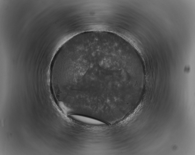 X0000097990839200804021007
