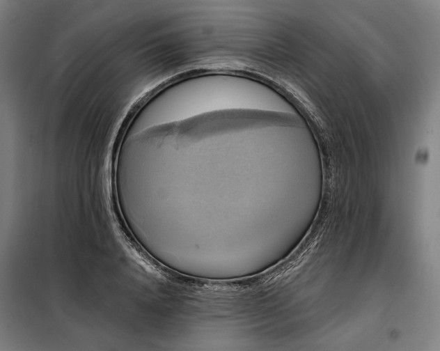 X0000097990840200804021007